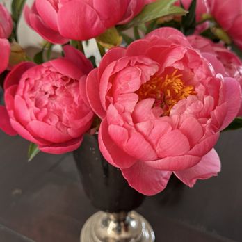 BloomsyBox - Pink Peonies the next morning! - Florists Near Me - Miami, Florida