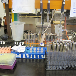 Wesbrook Building - The University of British Columbia - Working in the lab.