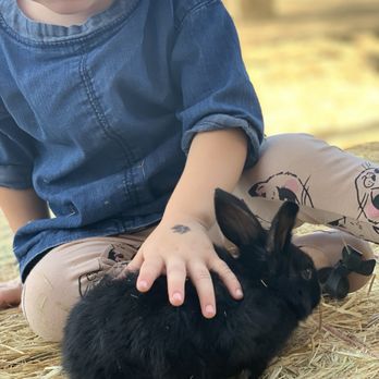 Impossible Acres Farm - So sweet - Pick Your Own Farms Near Me - Davis, California