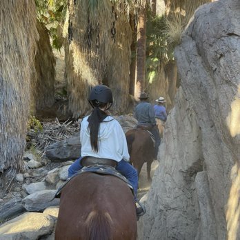 Cascade Trails Mustang Sanctuary - Horseback Riding Near Me