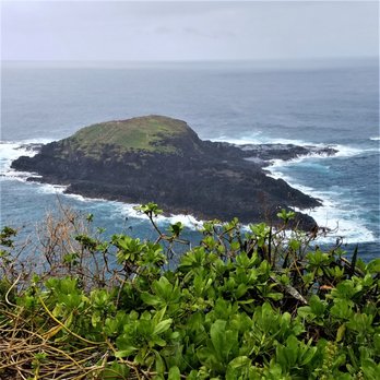 Kilauea Lighthouse - an island viewable from the lighthouse area - Landmarks & Historical Buildings Near Me - Kilauea, Hawaii