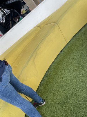 The Lane Ivy City by null