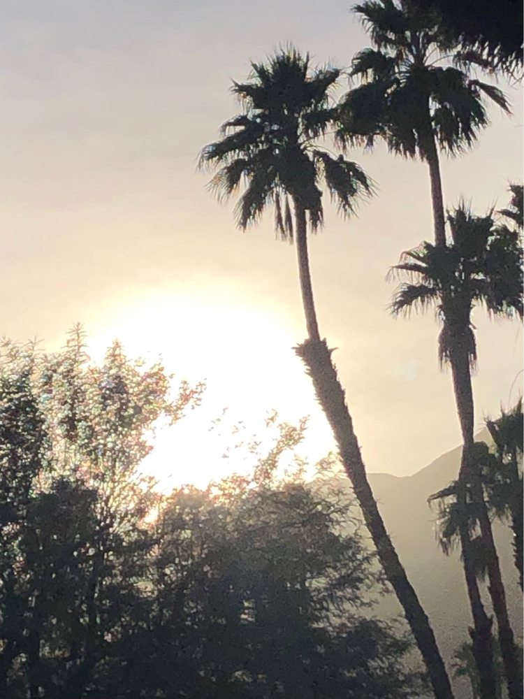 UNIVERSAL MARTIAL ARTS CENTER Updated September 2024 10 Photos & 15