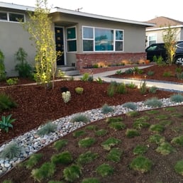 Solscapes transformed our landscape from boring grass to a modern Xeriscape! Solscapes transformed our landscape from boring grass to a modern Xeriscape!