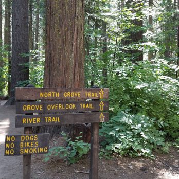 Calaveras Big Trees State Park - North Grove Trail. Easy hike, well marked & flat surface. - Parks Near Me - Arnold, California Calaveras Big Trees State Park - North Grove Trail. Easy hike, well marked & flat surface. - Parks Near Me - Arnold, California