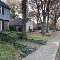 Fall Clean up service After