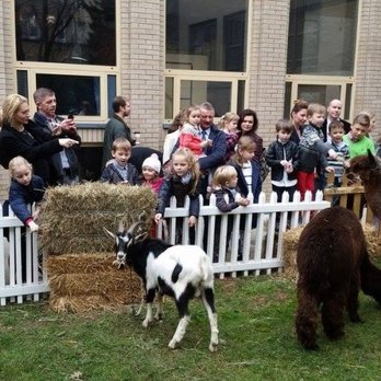 Pony Express Entertainment - Petting Zoo used for live nativity scene at a catholic church on Christmas Day 2015. - Party & Event Planning Near Me