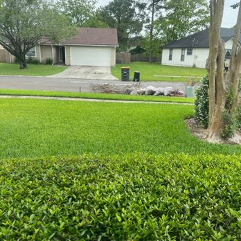WM - Jacksonville - Yard trash that keeps piling up - Junk Removal & Hauling Near Me - Jacksonville, Florida WM - Jacksonville - Yard trash that keeps piling up - Junk Removal & Hauling Near Me - Jacksonville, Florida