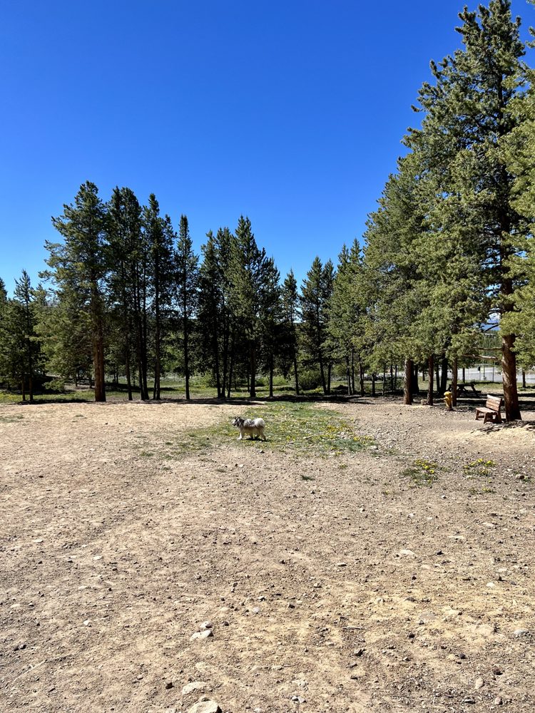 LEADVILLE DOG PARK Updated September 2024 505 W 5th St, Leadville