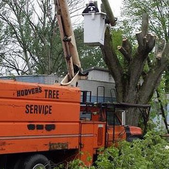 Hoover Tree Service & Firewood - Tree Services Near Me - Delaware, Ohio Hoover Tree Service & Firewood - Tree Services Near Me - Delaware, Ohio