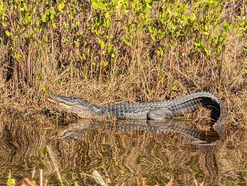 Black Point Wildlife Drive Image
