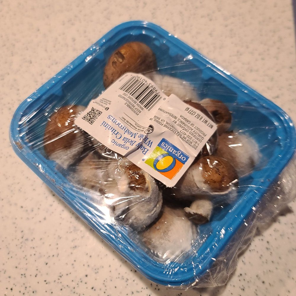 Moldy mushrooms.