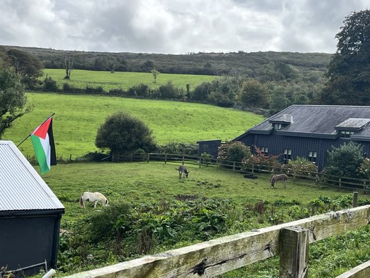 Gregans Castle Hotel in the Burren by null