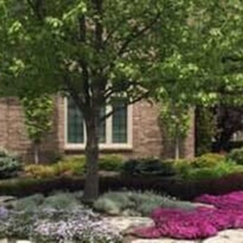 Bedard Shade Tree - untitled - Tree Services Near Me - New Hudson, Michigan Bedard Shade Tree - untitled - Tree Services Near Me - New Hudson, Michigan