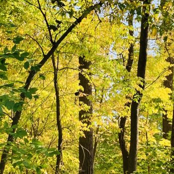 Clinton River Heritage Park - Active Life Near Me - Utica, Michigan