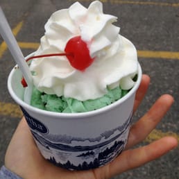 Mint Chocolate Chip