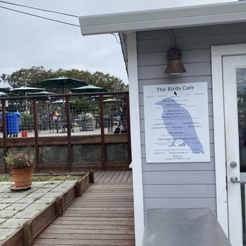 The Birds Cafe - Menu - Seafood Near Me - Bodega Bay, California