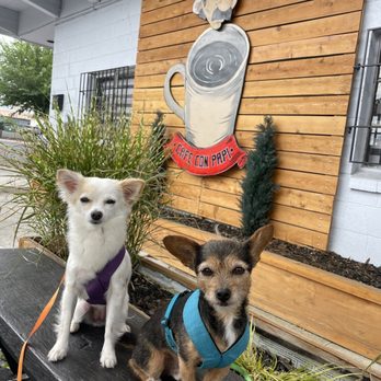 Cafe Con Papi - Dog friendly patio with shade and misters - Coffee & Tea Near Me - Reno, Nevada