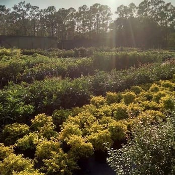 The Garden Depot - Nurseries & Gardening Near Me - Jupiter, Florida
