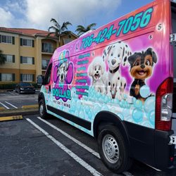 Dollar Pet Grooming