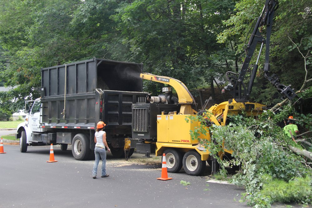 Northeast Tree Updated COVID19 Hours &amp; Services 30