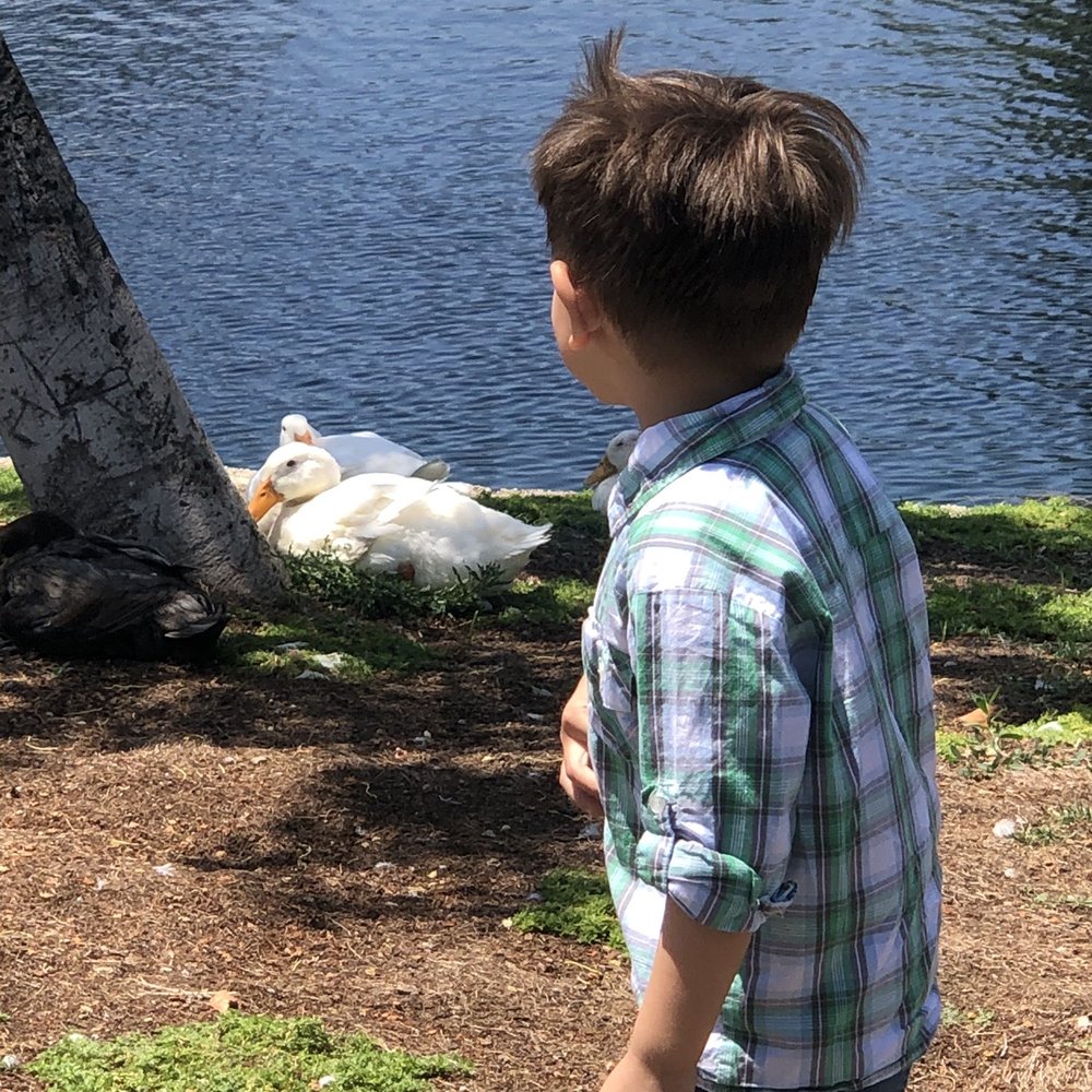 Wilderness Park - Parks Near Me - Downey, California Wilderness Park - Parks Near Me - Downey, California