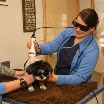 Longwood Veterinary Center - Offering Laser Therapy - Veterinarians Near Me - Kennett Square, Pennsylvania Longwood Veterinary Center - Offering Laser Therapy - Veterinarians Near Me - Kennett Square, Pennsylvania