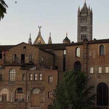Vi Vace - View from patio - Pizza Near Me - Siena, SI Vi Vace - View from patio - Pizza Near Me - Siena, SI