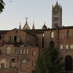 Vi Vace - View from patio