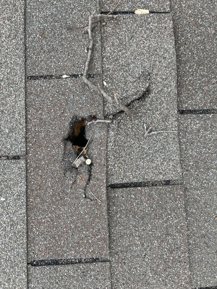 Slide of NxtLvl Roof