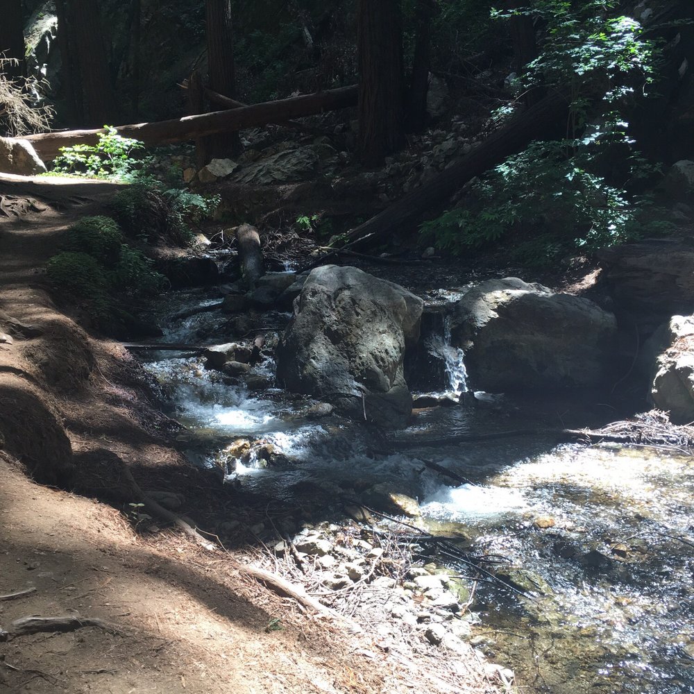 Julia Pfeiffer Burns State Park - Parks Near Me - Big Sur, California