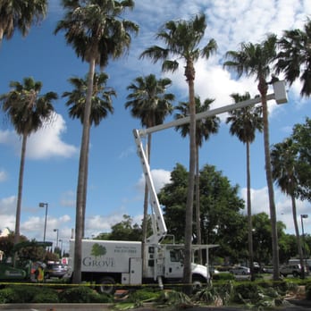 The Grove Total Tree Care - The Grove Team at work. - Tree Services Near Me - Sacramento, California The Grove Total Tree Care - The Grove Team at work. - Tree Services Near Me - Sacramento, California