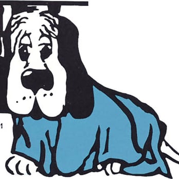 All American Dog Training Academy - Pet Training Near Me All American Dog Training Academy - Pet Training Near Me