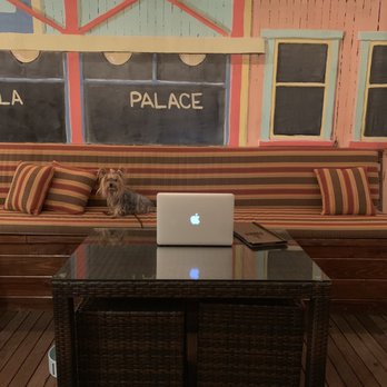 Paniolo Lanai Bar & Cafe - Dog friendly/ free WiFi - Cocktail Bars Near Me - Honolulu, Hawaii