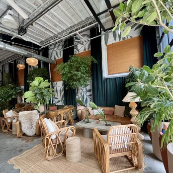 The Willow - Wine Bars Near Me - Lexington, Kentucky