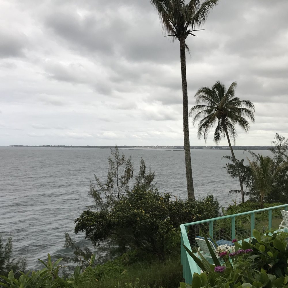 Hale Kai Hawaii Bed & Breakfast - Right outside the rooms - Hotels Near Me - Hilo, Hawaii Hale Kai Hawaii Bed & Breakfast - Right outside the rooms - Hotels Near Me - Hilo, Hawaii