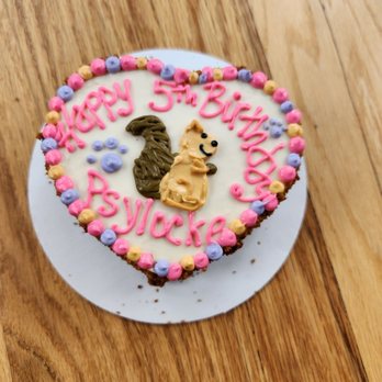 Happy Dog Barkery - A beautiful squirrel cake for our beautiful sunflower - Pet Stores Near Me - Downers Grove, Illinois Happy Dog Barkery - A beautiful squirrel cake for our beautiful sunflower - Pet Stores Near Me - Downers Grove, Illinois