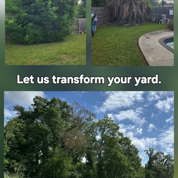 Smith's Tree Care - Tree Services Near Me - Springfield, Louisiana Smith's Tree Care - Tree Services Near Me - Springfield, Louisiana