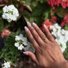 French Nail gift card