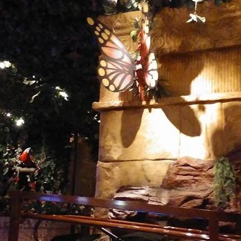 Rainforest Cafe - Cafes Near Me - Niagara Falls, New York