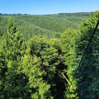 Pumpkin Ridge Zip Tour - Tours Near Me - North Plains, Oregon Pumpkin Ridge Zip Tour - Tours Near Me - North Plains, Oregon