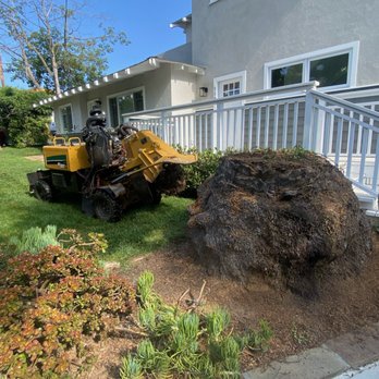 Santos Pena Tree Care and Services - Tree Services Near Me Santos Pena Tree Care and Services - Tree Services Near Me