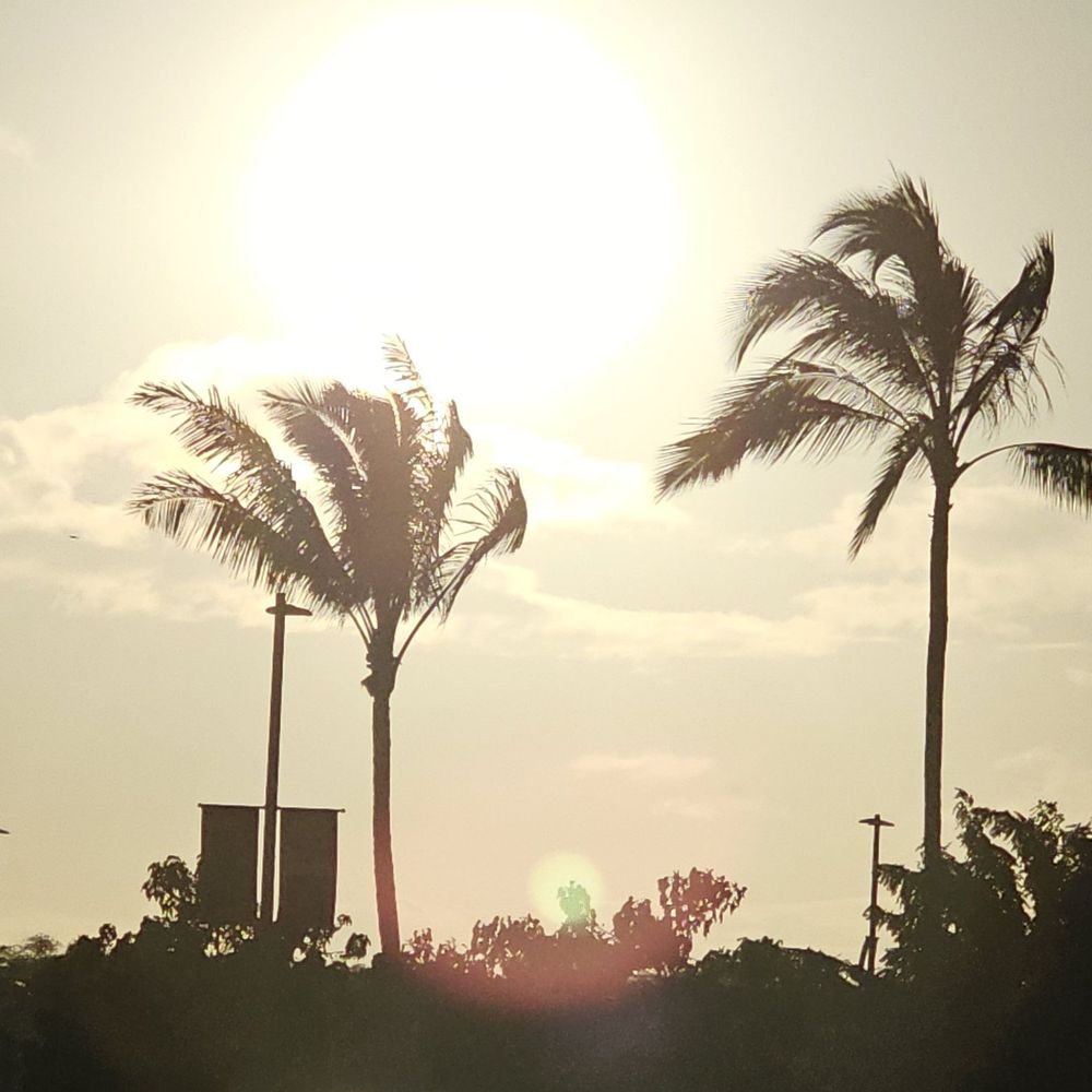 Ono Grindz & Makeke Wai Kai - 11-7-24. Stunning scenery - Farmers Market Near Me - Ewa Beach, Hawaii Ono Grindz & Makeke Wai Kai - 11-7-24. Stunning scenery - Farmers Market Near Me - Ewa Beach, Hawaii