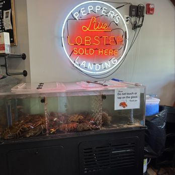 Pepper's Seafood Co - Seafood Near Me - Ogunquit, Maine
