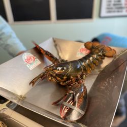 Trenton Bridge Lobster Pound - I VOLUNTEER AS TRIBUTE