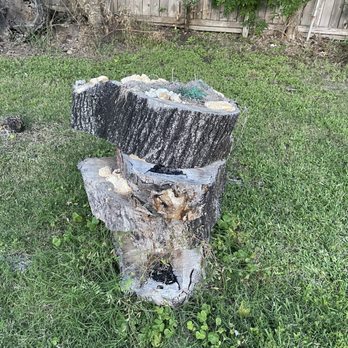 Haul Away Transport - Tree slabs - Junk Removal & Hauling Near Me Haul Away Transport - Tree slabs - Junk Removal & Hauling Near Me