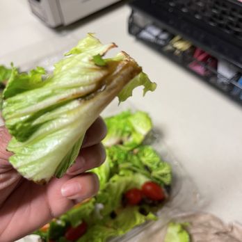 David's Burgers - Lettuce from salad at David's Burgers - Burgers Near Me - Conway, Arkansas David's Burgers - Lettuce from salad at David's Burgers - Burgers Near Me - Conway, Arkansas