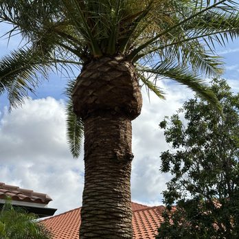 Romario’s Gardening - Tree Services Near Me Romario’s Gardening - Tree Services Near Me