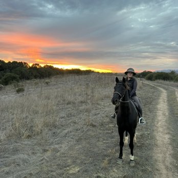 Shoreline Farms - Horseback Riding Near Me - Santa Barbara, California Shoreline Farms - Horseback Riding Near Me - Santa Barbara, California