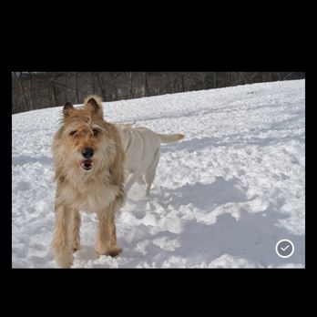 Far Fetched Acres - Pet Sitting Near Me Far Fetched Acres - Pet Sitting Near Me
